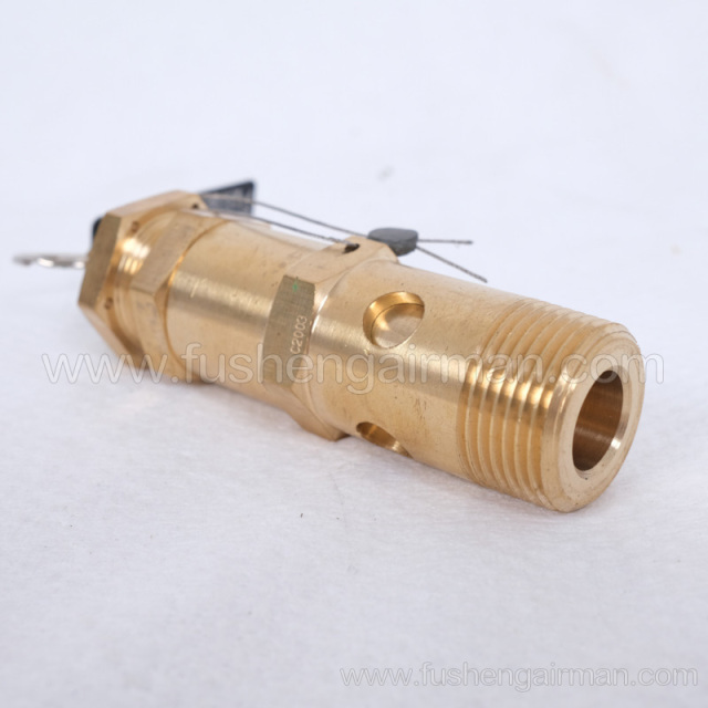 2104110093=9313215-102406-09 Fusheng Screw Compressor 3/4", 9barg Safety Valve A28X-16T