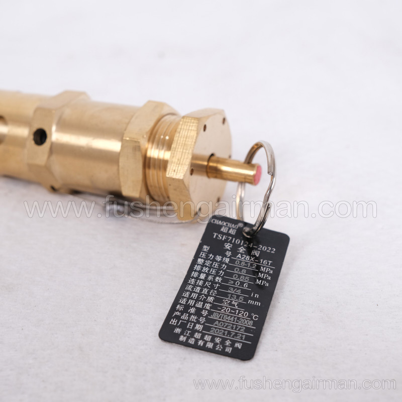 2104110092=9313215-102406-08 Fusheng Screw Compressor AX28-16T Safety Valve