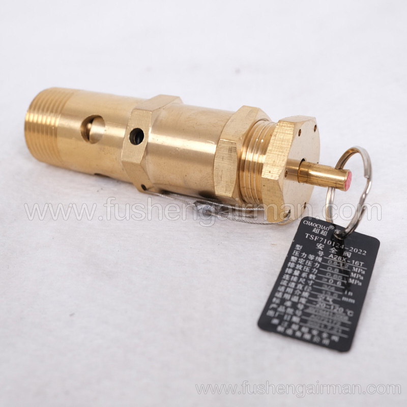 2104110092=9313215-102406-08 Fusheng Screw Compressor AX28-16T Safety Valve