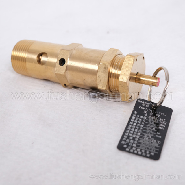2104110092=9313215-102406-08 Fusheng Screw Compressor AX28-16T Safety Valve
