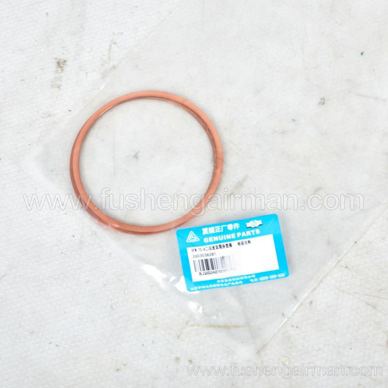 2603038281 Fusheng Genuine VFW-75/4 2-Stage Intake Valve Seat Gasket for Piston Compressors
