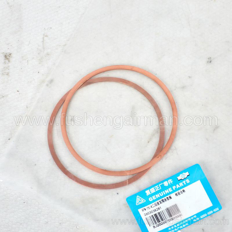 2603038281 Fusheng Genuine VFW-75/4 2-Stage Intake Valve Seat Gasket for Piston Compressors