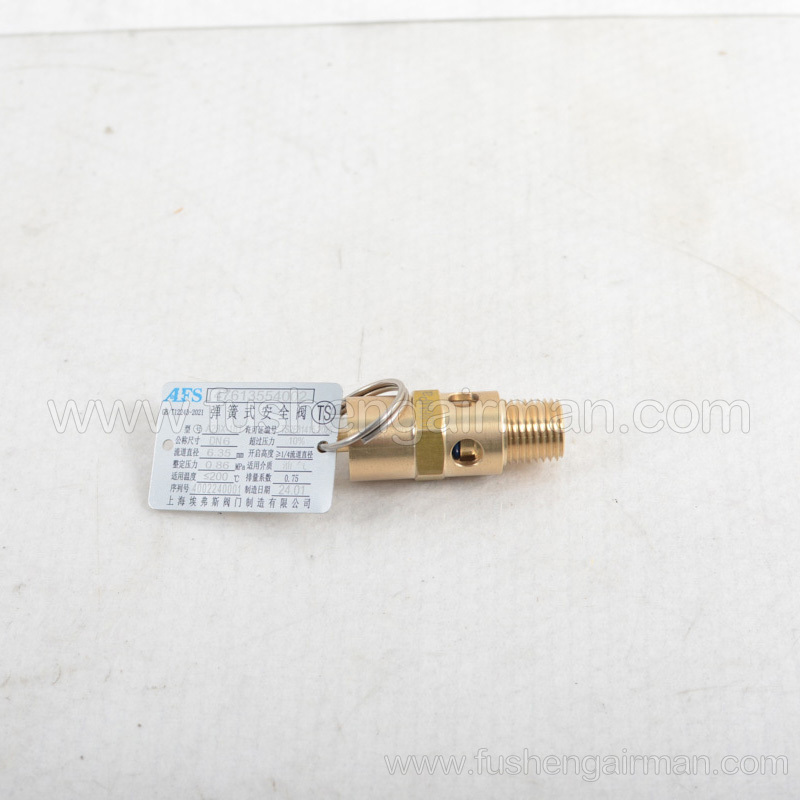 47613554002 Ingersoll Rand Air Compressor Genuine GB 1/4 “NPT 0.86MP Safety Valve AFS