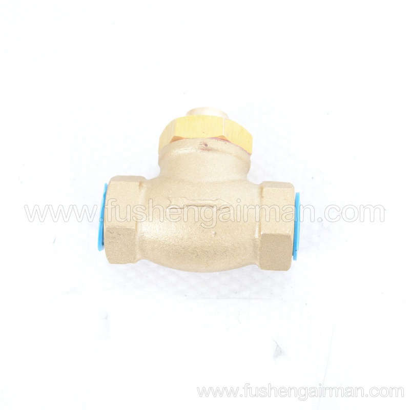 24356107 Ingersoll Rand Screw Air Compressor Check Valve for 110KW Screw Air Compressor