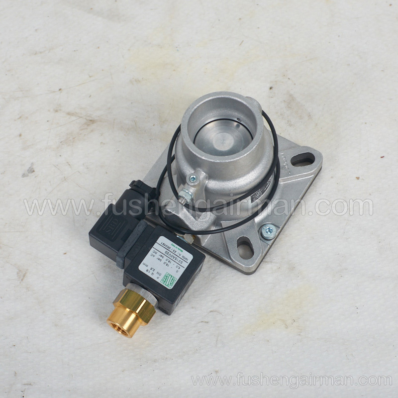 2.600.5220(E1V02)Italy VMC Import Air Inlet Valve C06287 with 110V Solenoid Valve