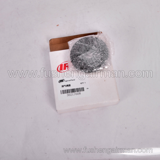 30217608 Ingersoll Rand Piston Air Compressor Parts: Secondary Exhaust Valve Seat