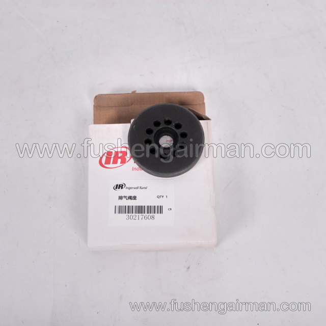 30217608 Ingersoll Rand Piston Air Compressor Parts: Secondary Exhaust Valve Seat