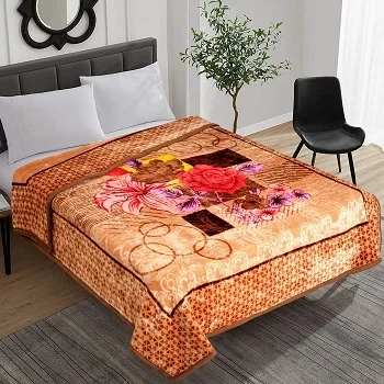 Wholesale Blanket Soft Warm Coral Fleece Flannel Blankets For Beds