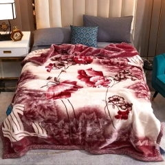 Raschel Blanket Double Thick Double Warm Coral Single Bed Blanket For Winter