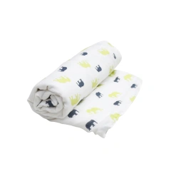 Factory 100% Polyester Bedding OEM/ODM Custom Name Printed Coral Minky Massage Dot Flannel Fleece Baby Blanket