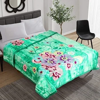 Wholesale Blanket Soft Warm Coral Fleece Flannel Blankets For Beds