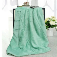 2024 Manufacture Super Soft Mink Polyester Fleece Printed Solid Plain Custom Logo Plush Coral Bed Throw Blanket