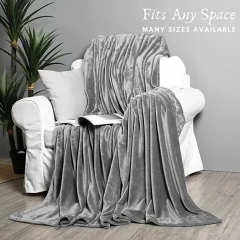 High Quality Free Sample Throw Flannel Fleece Blanket