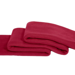 Customized size and logo high quality winter polar fleece blanket 100% polyester
