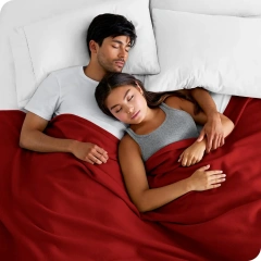 Cheap Price Custom Polar Fleece Blanket Travel Blanket Brush Handle Throws Wholesale Solid Color Polar Fleece Roll Blanket