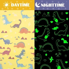 Glow in The Dark Baby Blanket Kids Blanket Custom Luminous Throw Blanket With Unicorn Pattern