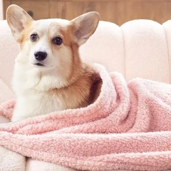 Bertte Fluffy Sherpa Throw Blanket Ultra Soft Warm Lightweight Shaggy Blanket for Couch Sofa Travel, 50"x 60", Pink