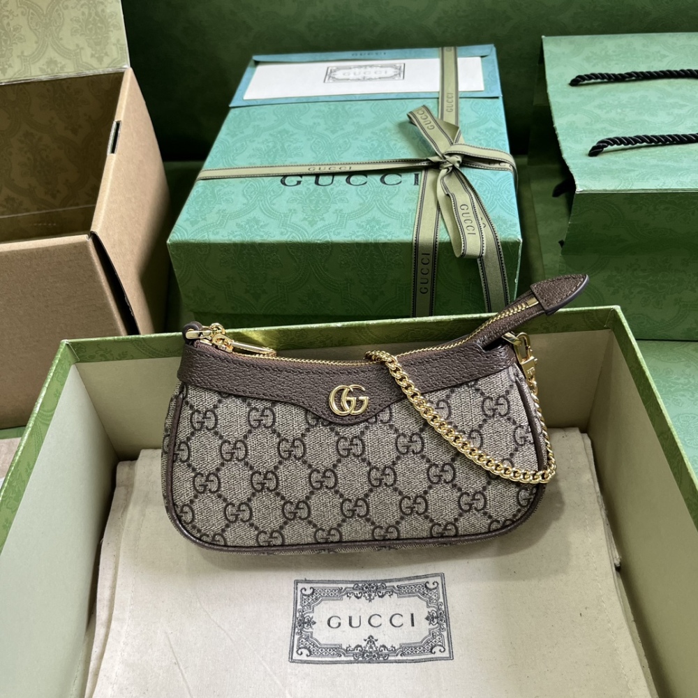 GG Chain Mini Handbag Women Designer Fashion 751526 Canvas and Leather Luxury Shoulder Bags