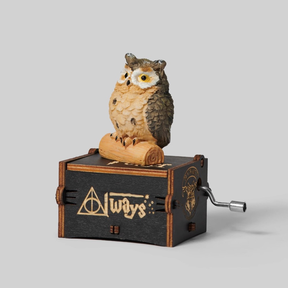Gothic Harry Potter Hand-Crank Music Box – Dark Humour Wizard Desk Figurine
