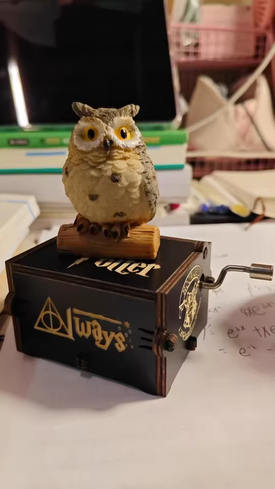 Gothic Harry Potter Hand-Crank Music Box – Dark Humour Wizard Desk Figurine