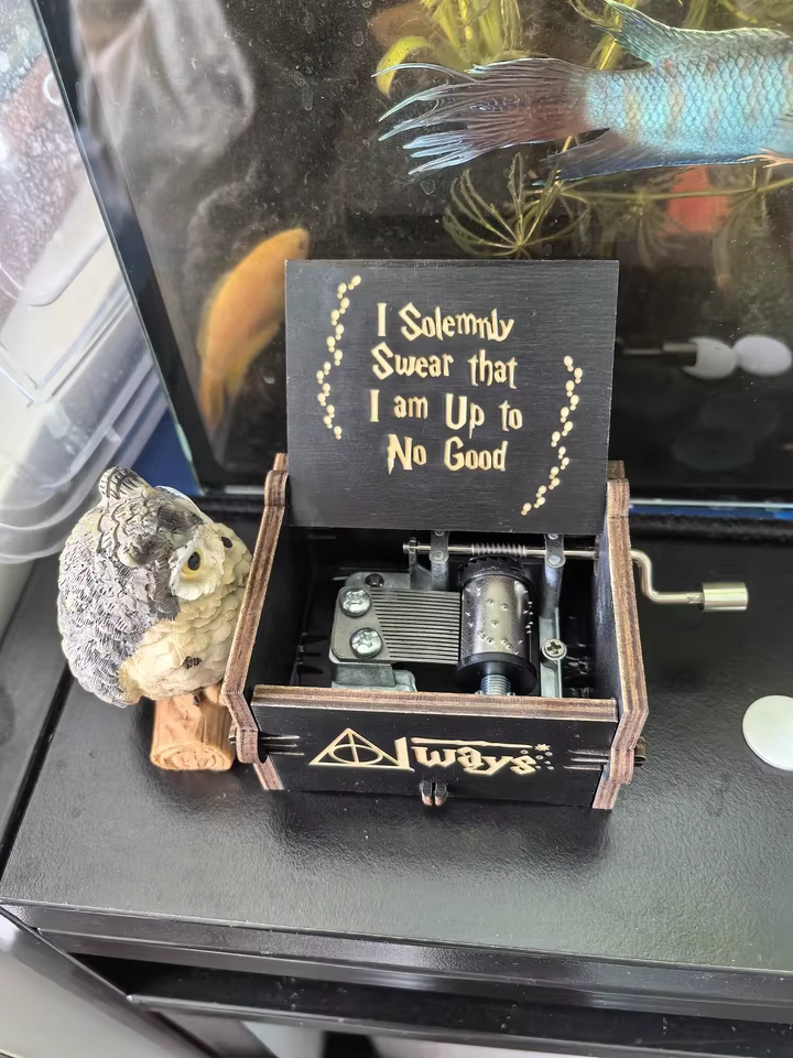 Gothic Harry Potter Hand-Crank Music Box – Dark Humour Wizard Desk Figurine