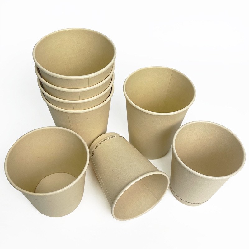 Longworld bamboo sugarcane plus biodegradable paper cup