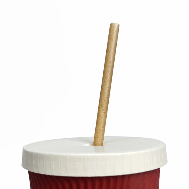 6mm 8mm 12mm Sugarcane Straws Biodegradable Plastic Free Eco-Friendly Compostable Drinking Smoothie Sugarcane Bagasse Straw,LongWorld,6mm 8mm 12mm Sugarcane Straws Biodegradable Plastic Free Eco-Friendly Compostable Drinking Smoothie Sugarcane Bagasse Straw