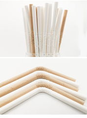 Bendy Straw