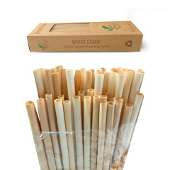 Eco friendly food grade 100% biodegradable individual pack disposable wheat stem straw Natural wheat drinking straws,LongWorld,Eco friendly food grade 100% biodegradable individual pack disposable wheat stem straw Natural wheat drinking straws