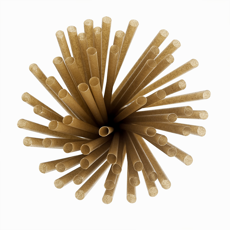 Custom Single Paper Wrapped Environmentally-friendly Biodegradable Compostable Fiber Sugarcane Bagasse Straws,LongWorld,Custom Single Paper Wrapped Environmentally-friendly Biodegradable Compostable Fiber Sugarcane Bagasse Straws
