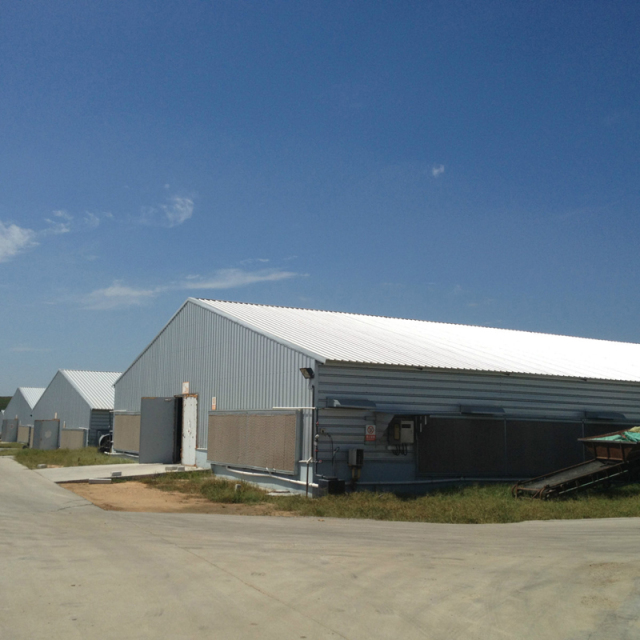 Steel structure warehouse / metal frame steel storage industrial building
