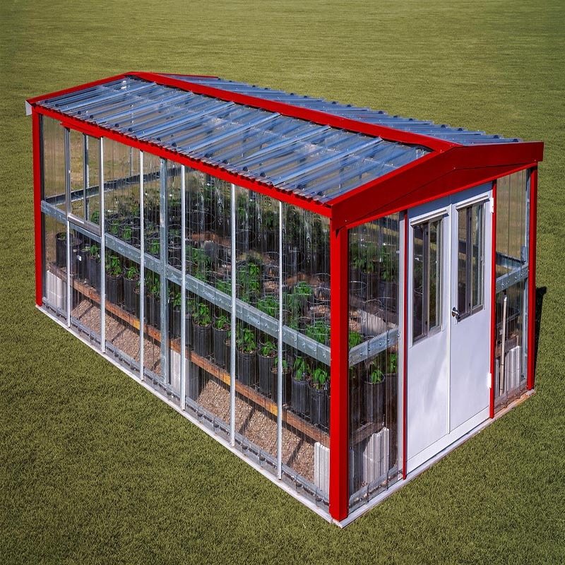 Single Span Greenhouse For Fruit Vegetable Cultivation