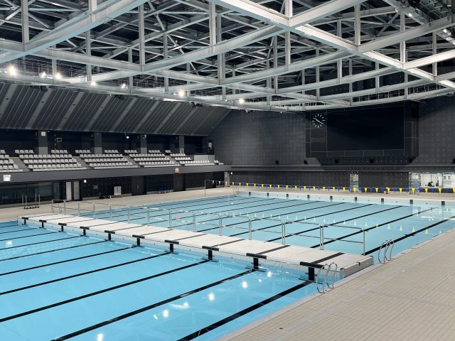 Prefabricated Steel Structure Swimming Pool Roof