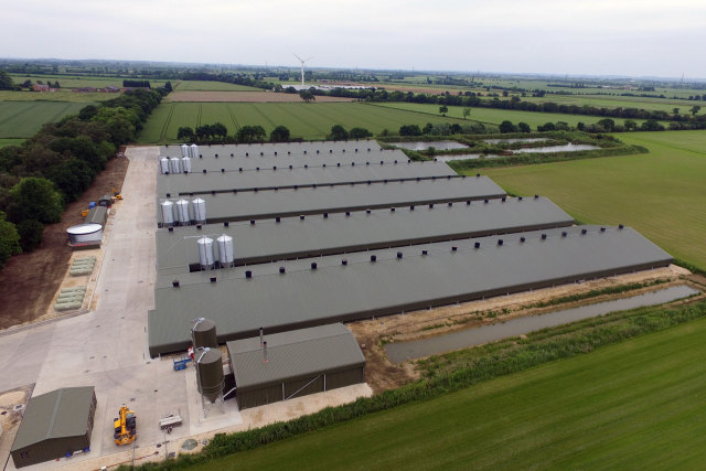 Chicken house design Poultry farm house steel structure construction building