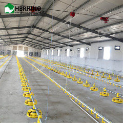 Chicken house design Poultry farm house steel structure construction building