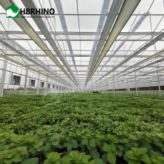 Steel Structure Hydroponic System Greenhouse Manufacturer Agricultural Greenhouses Green House