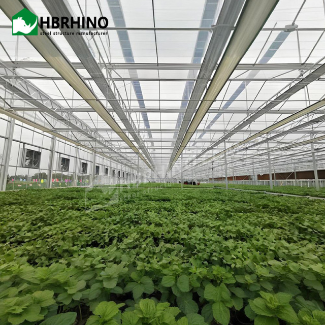 Steel Structure Hydroponic System Greenhouse Manufacturer Agricultural Greenhouses Green House