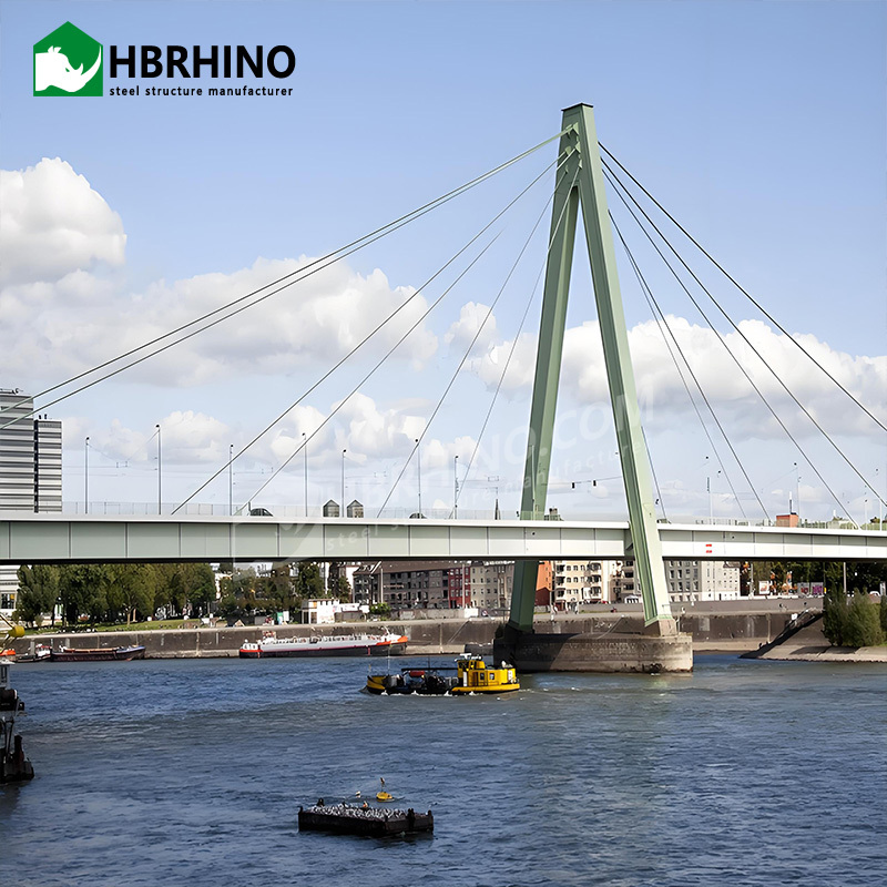 Steel Cable-Stayed Bridge