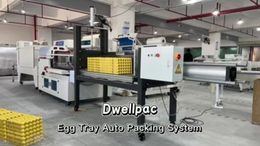 Dwellpac Egg Tray Compress and Shrink Film Auto Packing System | Aluminum mold, suitable for egg tray , Model DW-XZY500A-BF750-BSP6040,High-Efficiency Pulp Molding Machines & Custom Molds | DWELLPAC,Dwellpac Egg Tray Packing System - Pulp Molding Machine