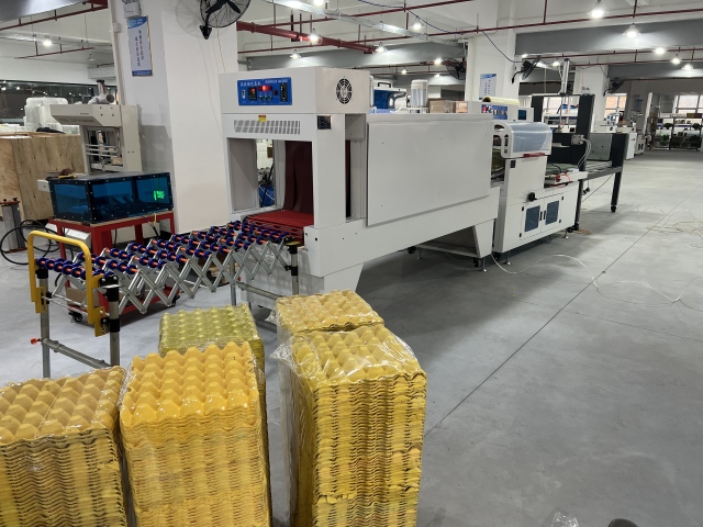 Dwellpac Egg Tray Compress and Shrink Film Auto Packing System | Aluminum mold, suitable for egg tray , Model DW-XZY500A-BF750-BSP6040,High-Efficiency Pulp Molding Machines & Custom Molds | DWELLPAC,Dwellpac Egg Tray Packing System - Pulp Molding Machine
