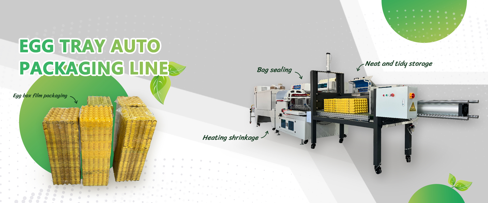 Dwellpac Egg Tray Auto Packaging Line
