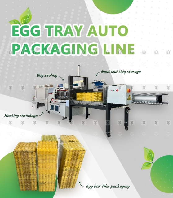 Dwellpac Egg Tray Compress and Shrink Film Auto Packing System | Aluminum mold, suitable for egg tray , Model DW-XZY500A-BF750-BSP6040,High-Efficiency Pulp Molding Machines & Custom Molds | DWELLPAC,Dwellpac Egg Tray Packing System - Pulp Molding Machine