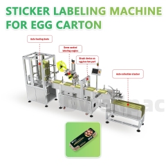 Dwellpac Automatic Egg Carton Labeling Machine | High-Precision Pulp Molded Packaging Solution,High-Efficiency Pulp Molding Machines & Custom Molds | DWELLPAC,Dwellpac Automatic Egg Carton Labeling Machine | High-Precision Pulp Molded Packaging Solution