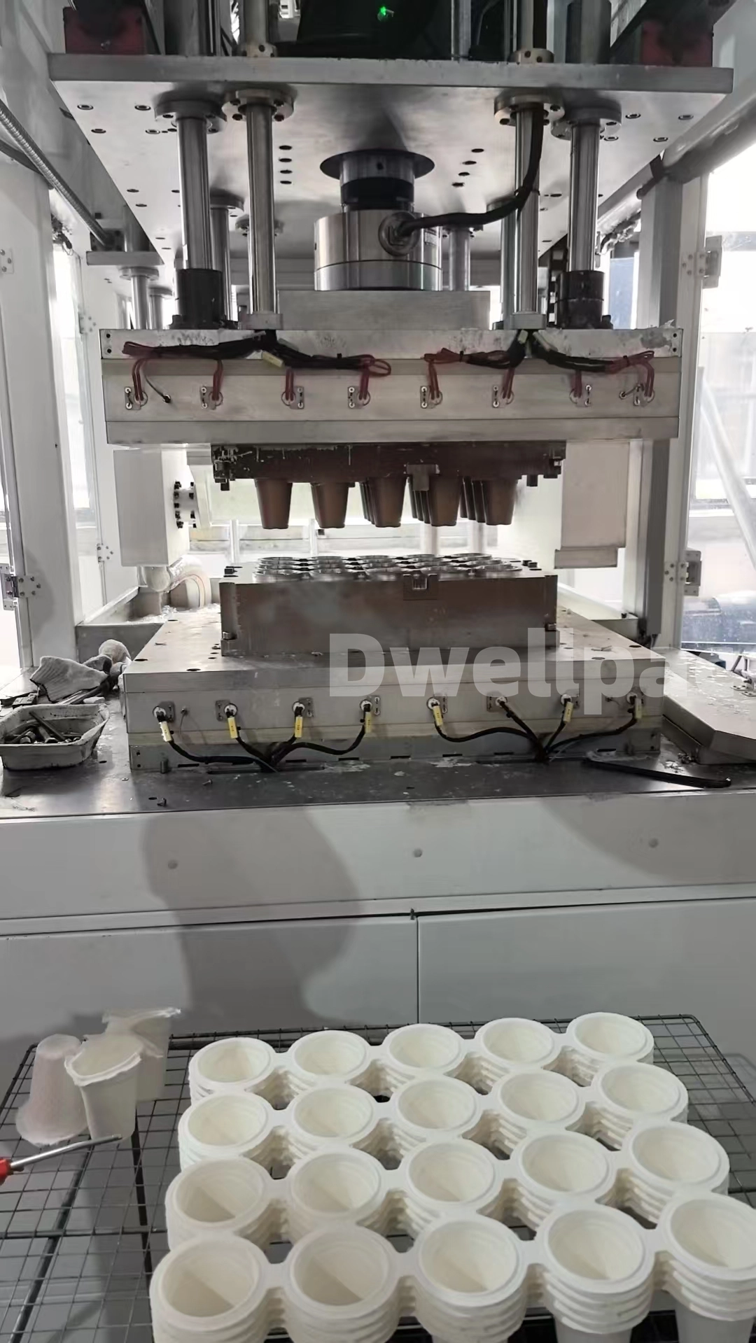 Molded fiber product sample reference for DW-ZD86 machine selection