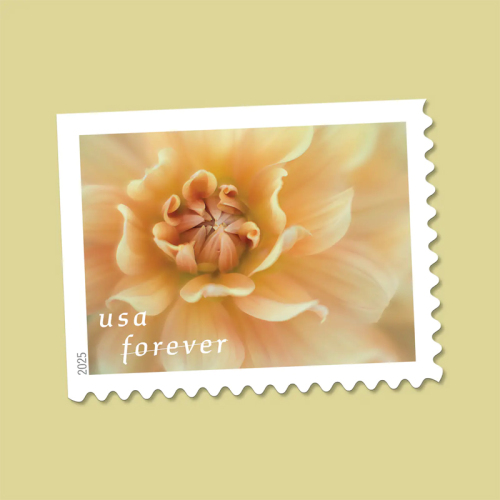 2025 Dahlias Stamps Book of 20