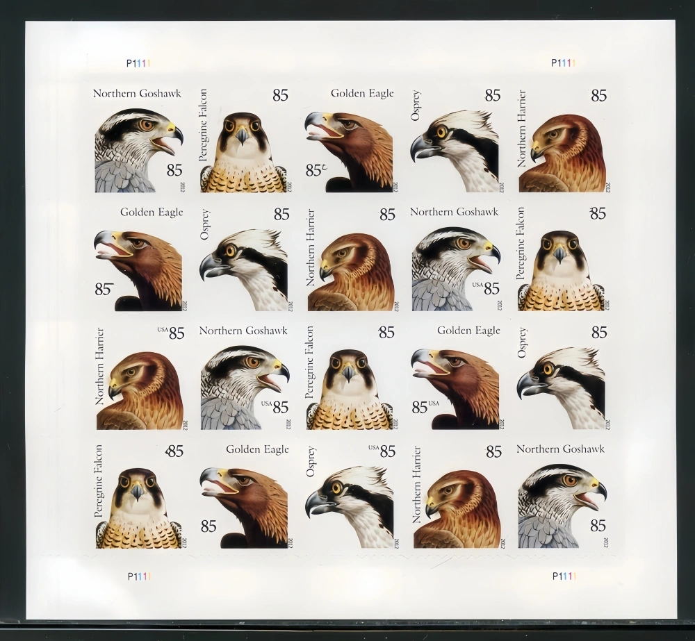 2012 BIRDS OF PREY ForeverFirst Class Postage Stamps