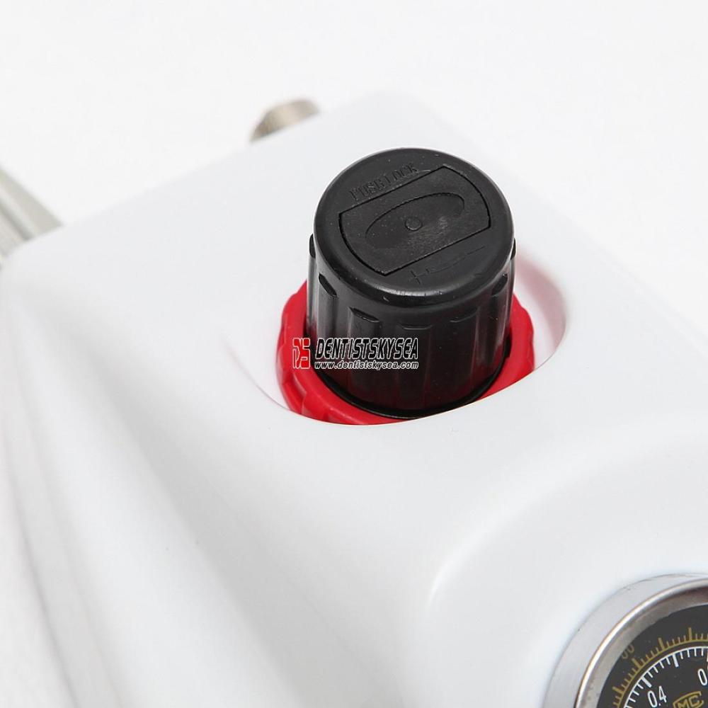 Dental Turbine 2/4 holes connection Handpiece Air WITH Water bottle SN