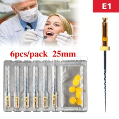 E1