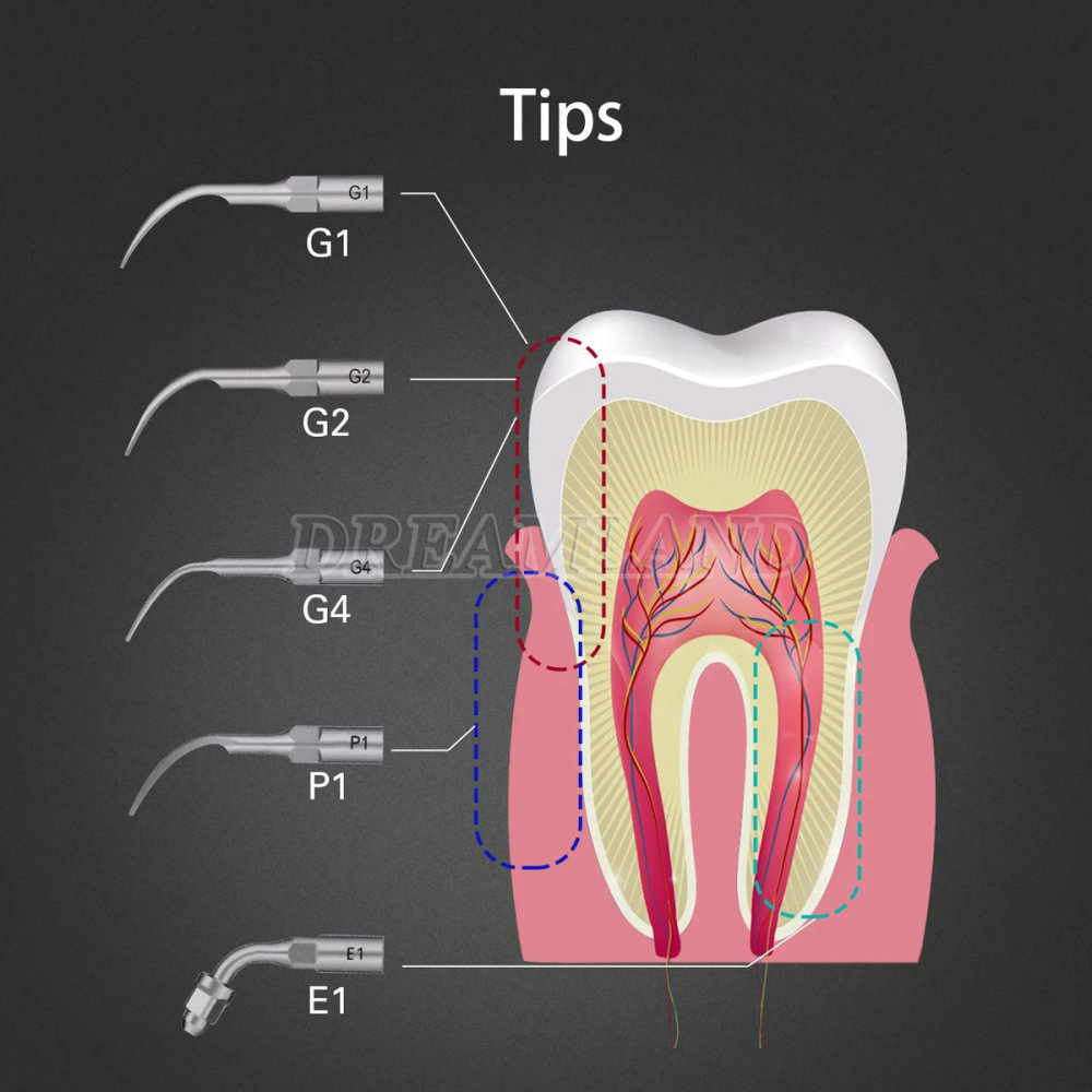 LED Dental Ultrasonic Piezo Scaler w/ Handpiece tips Bottle Fit EMS Woodpecker ship from China