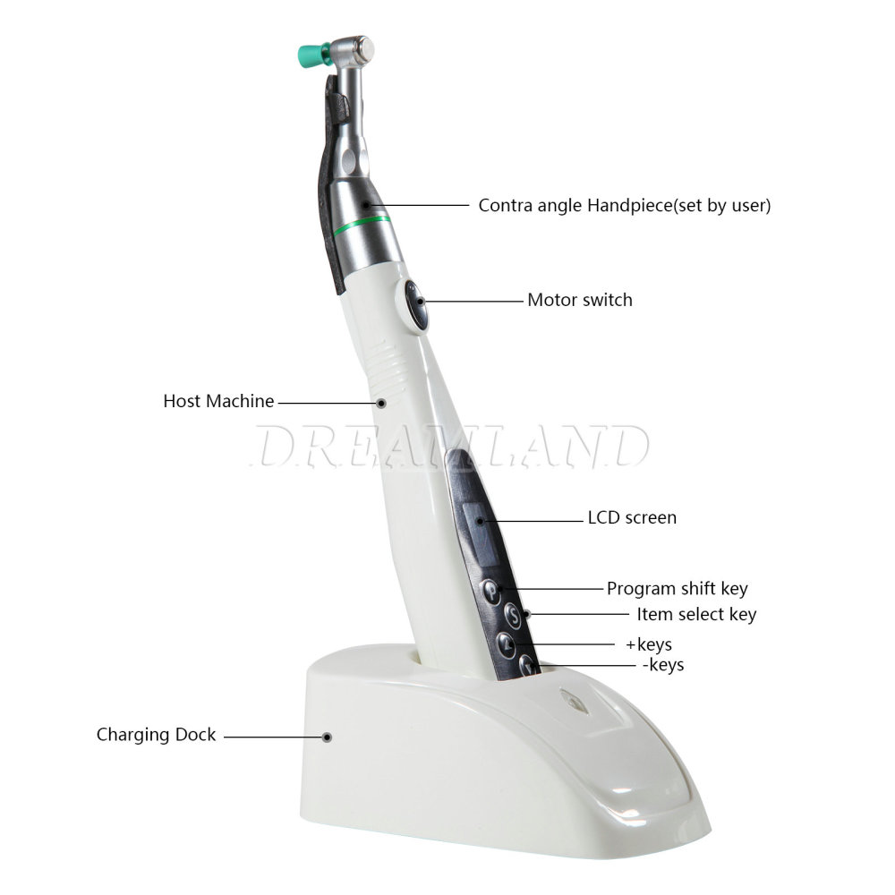 Dental Cordless Hygiene Prophy Polishing Handpiece 4:1 LED Motor fit prophy cups